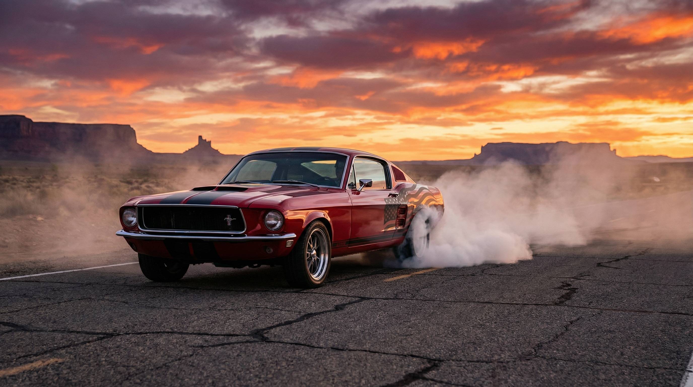 困困兔肌肉车视频